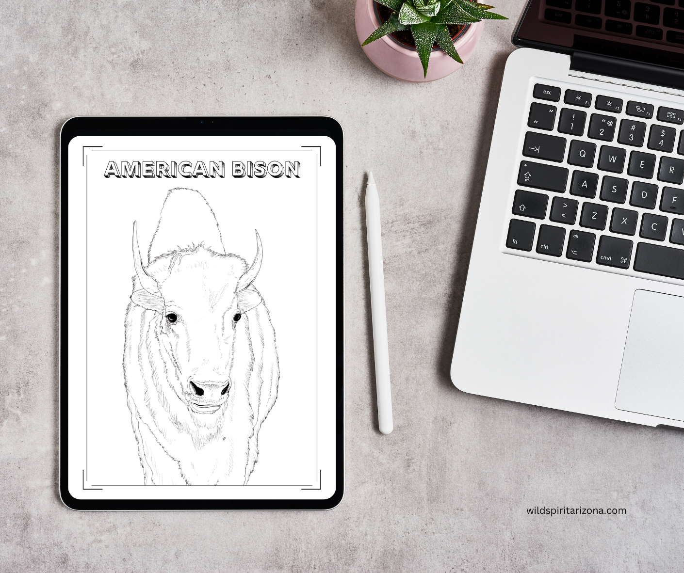 Digital Coloring Book Pages Hand-Illustrated Printable for Adults & Kids by Arizona Artist Amy Baffa