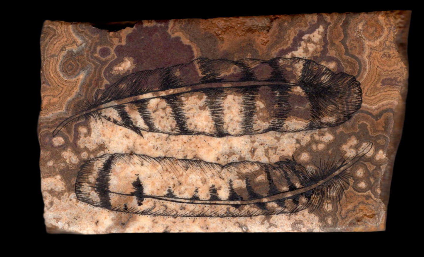 Hawk Feathers on Stone | Original Artwork by Amy Baffa