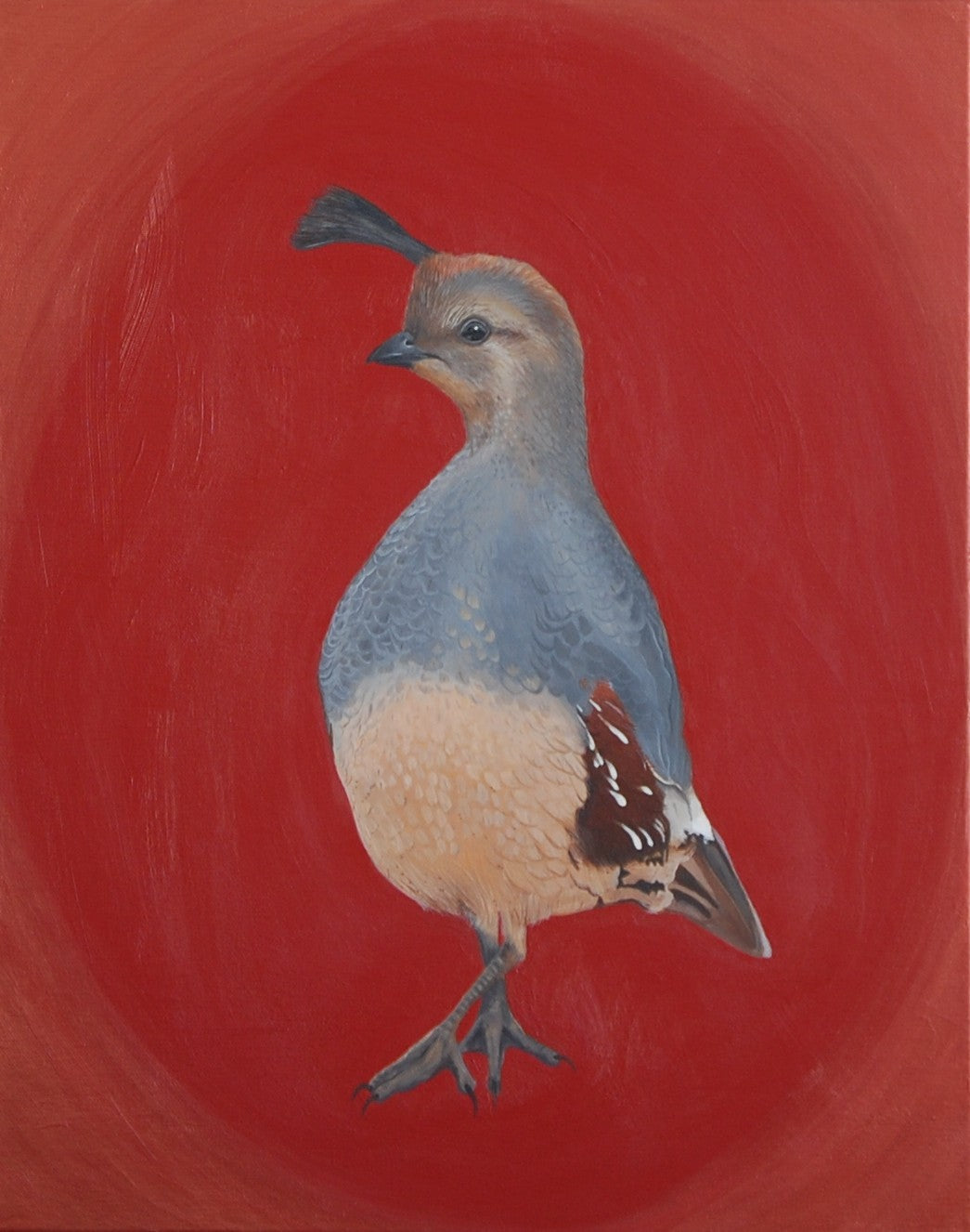 Grounded Quail - Acrylic Painting | Original Art by Amy Baffa