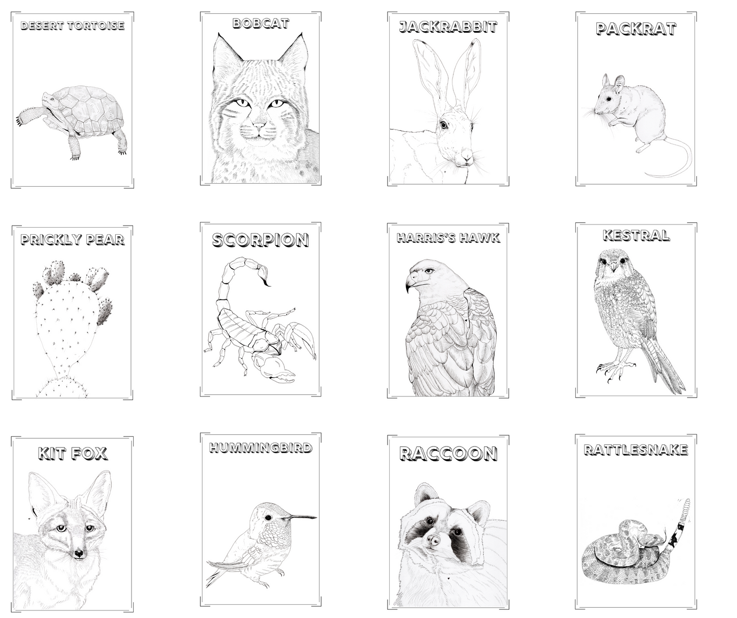 Digital Coloring Book Pages Hand-Illustrated Printable for Adults & Kids by Arizona Artist Amy Baffa