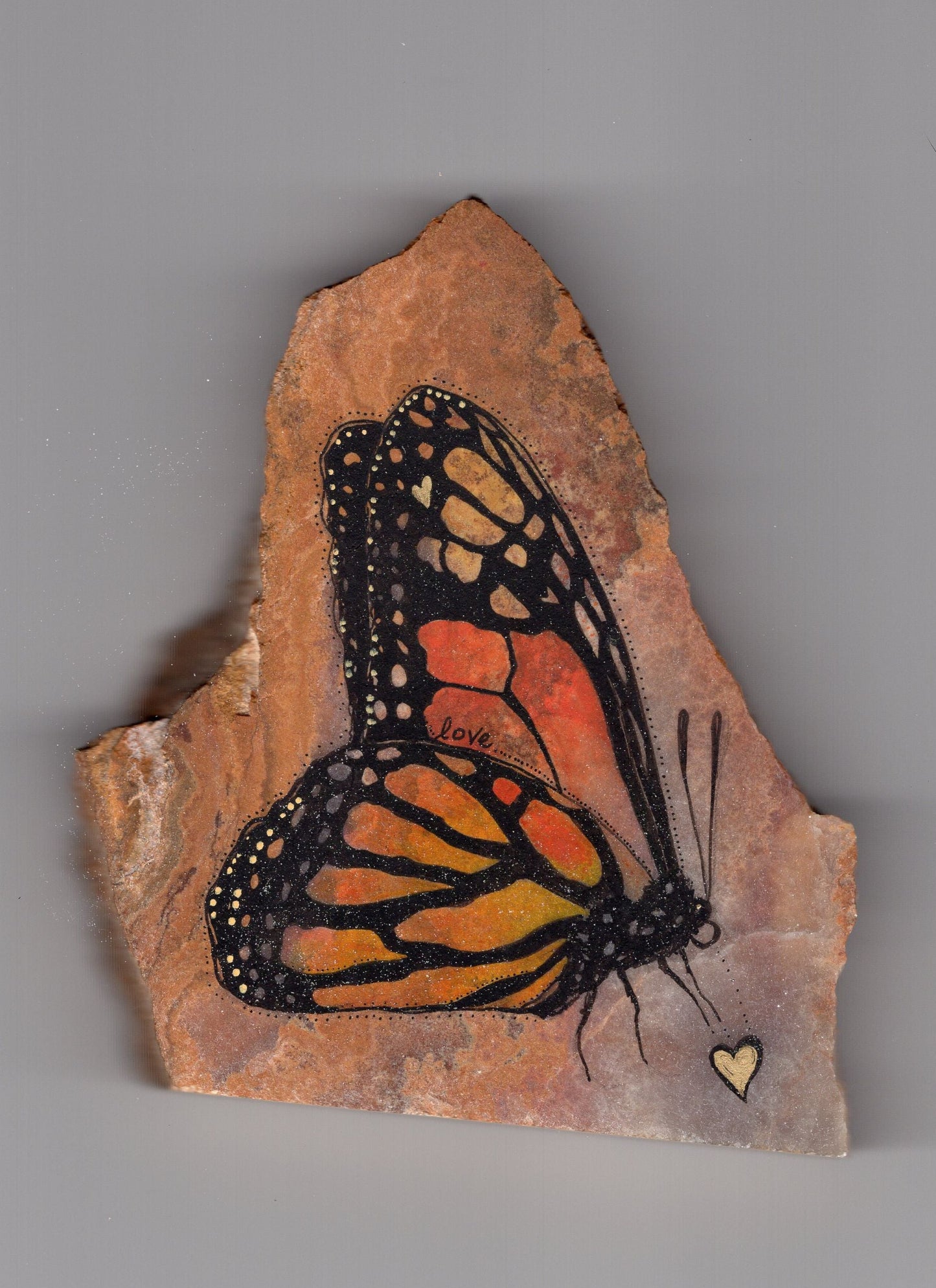 Butterfly on Stone