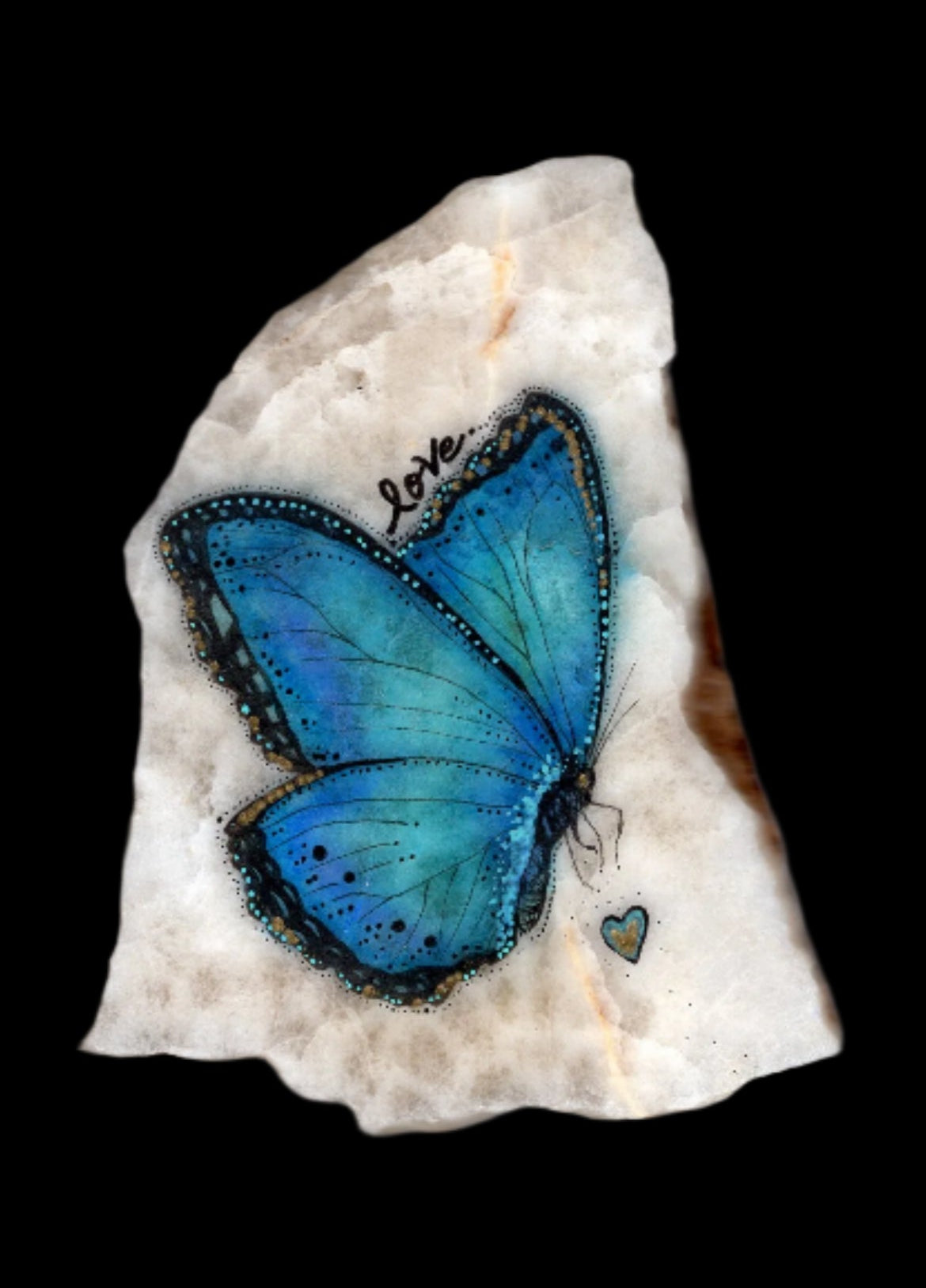 Butterfly on Stone