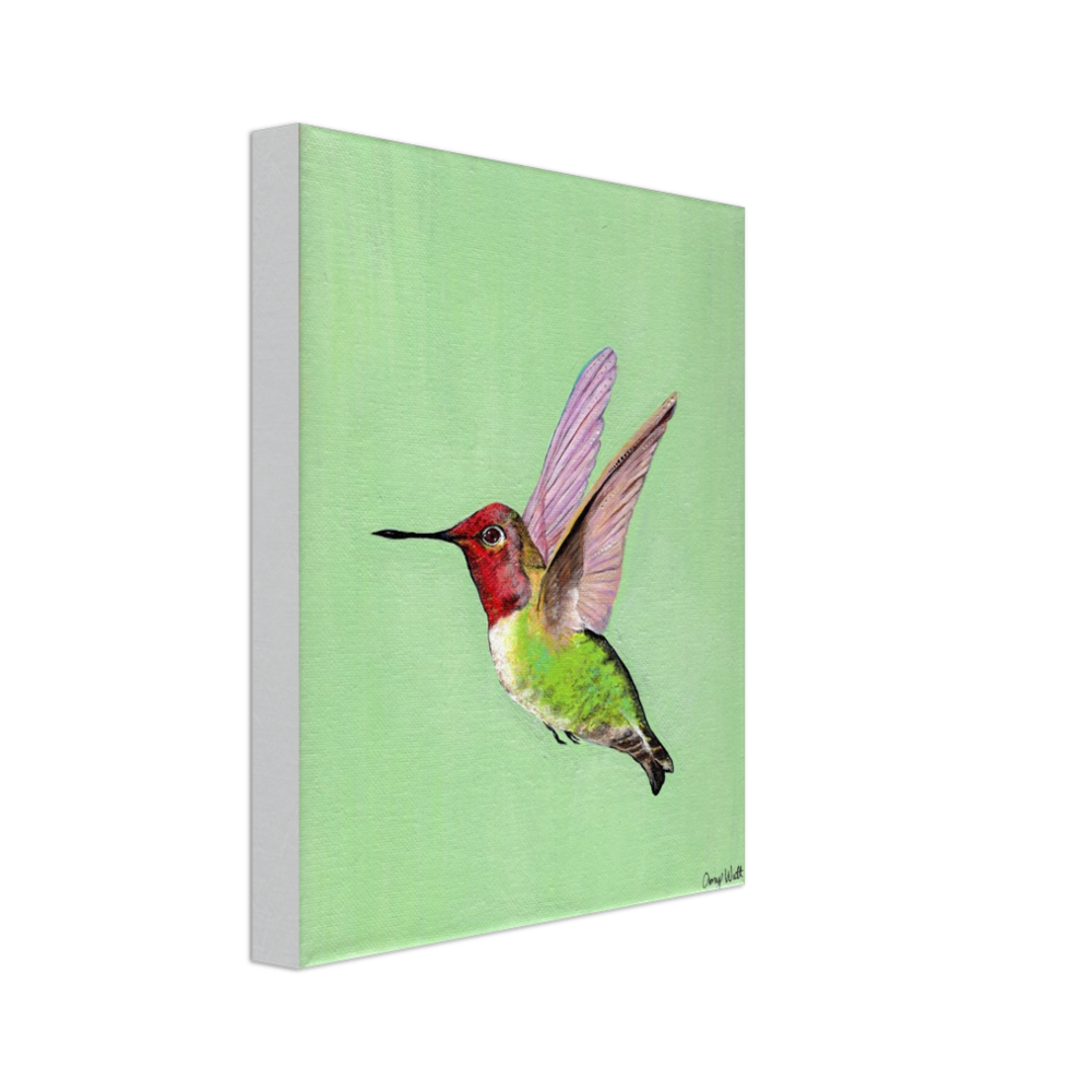Hummingbird Canvas Print - Original Artwork by Amy Baffa