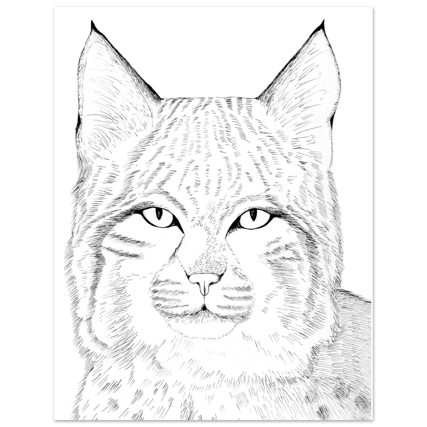 0343dc18-c13e-452d-b1a6-ad23fda0e252