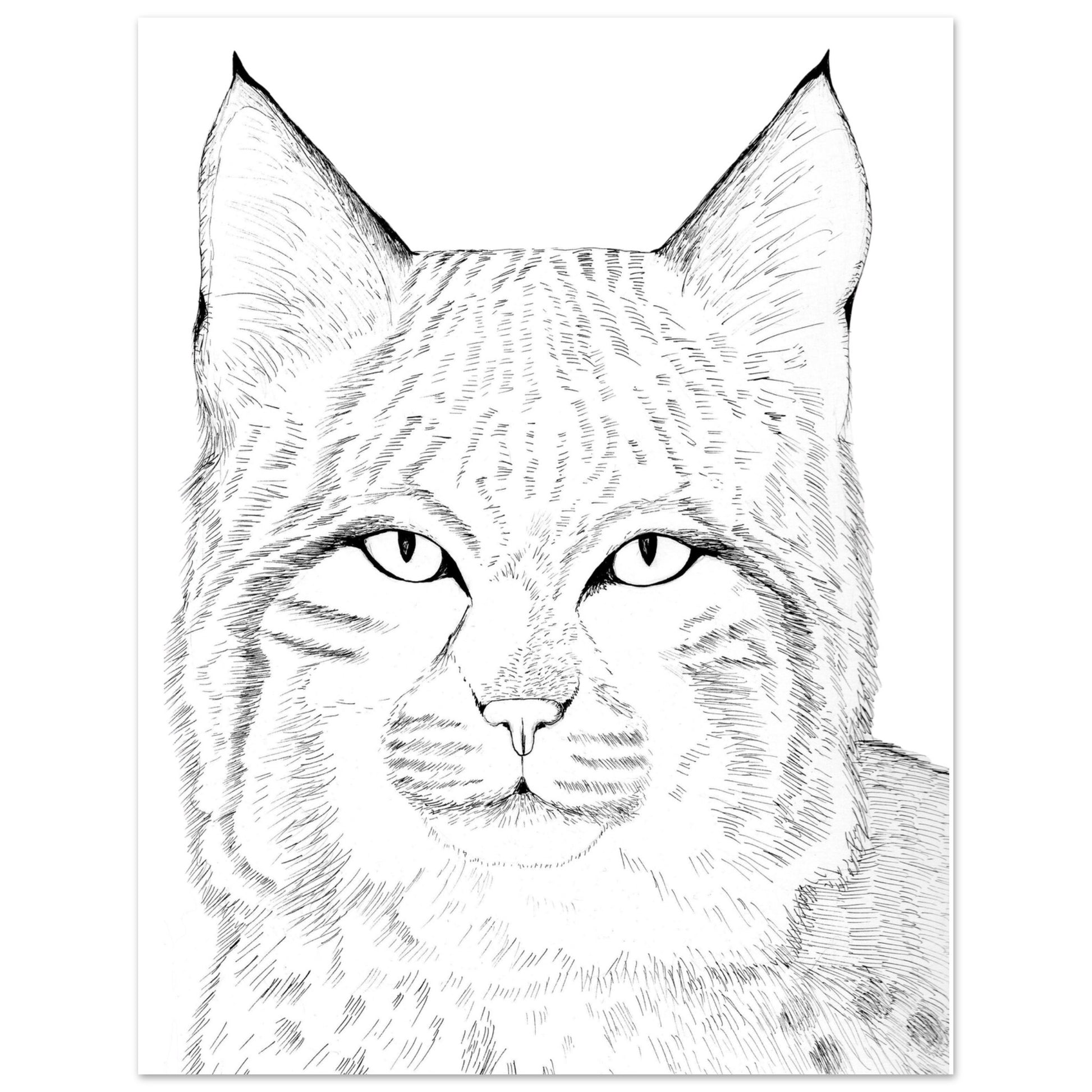 0343dc18-c13e-452d-b1a6-ad23fda0e252