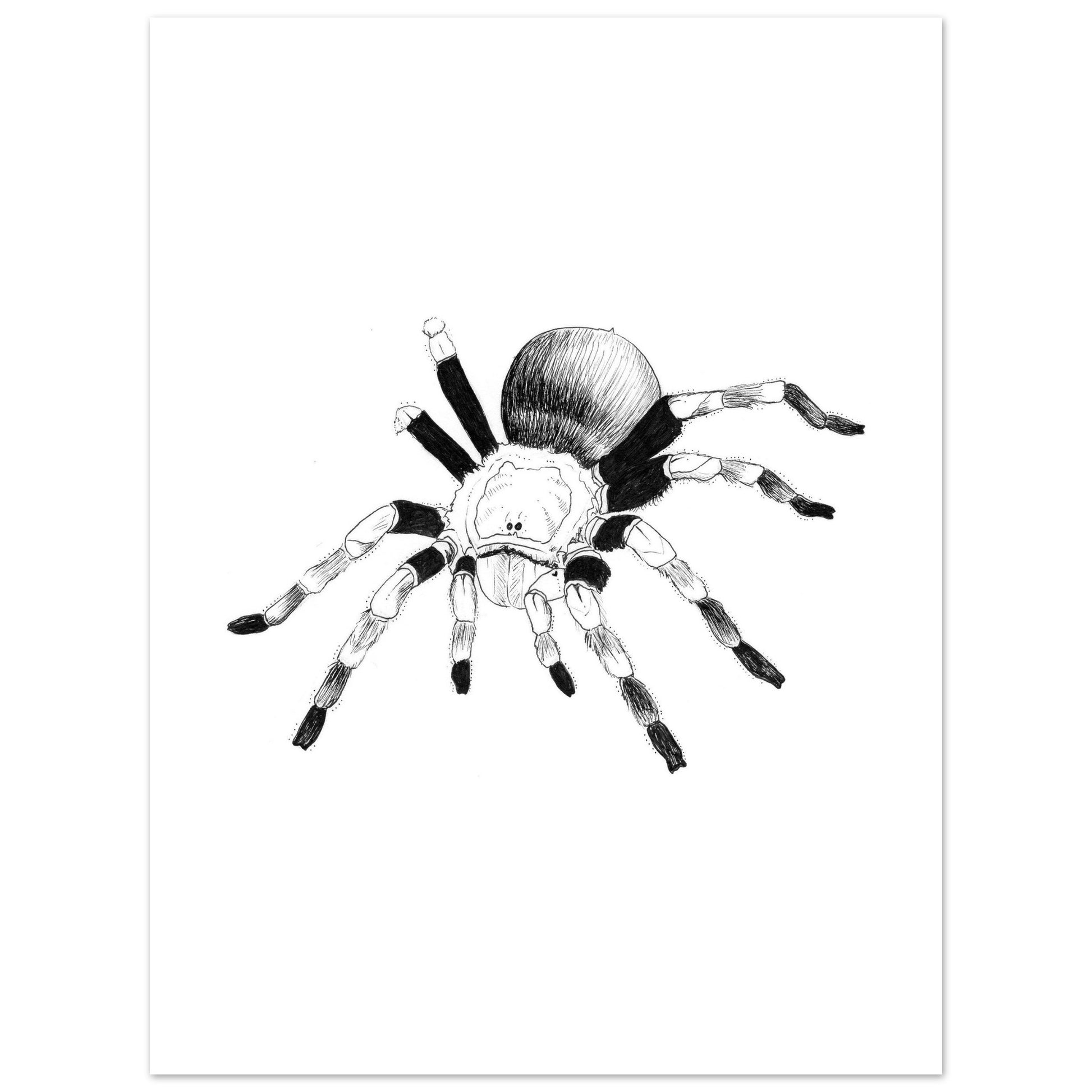 03988bba-736a-4df3-b471-216ab82ce70a