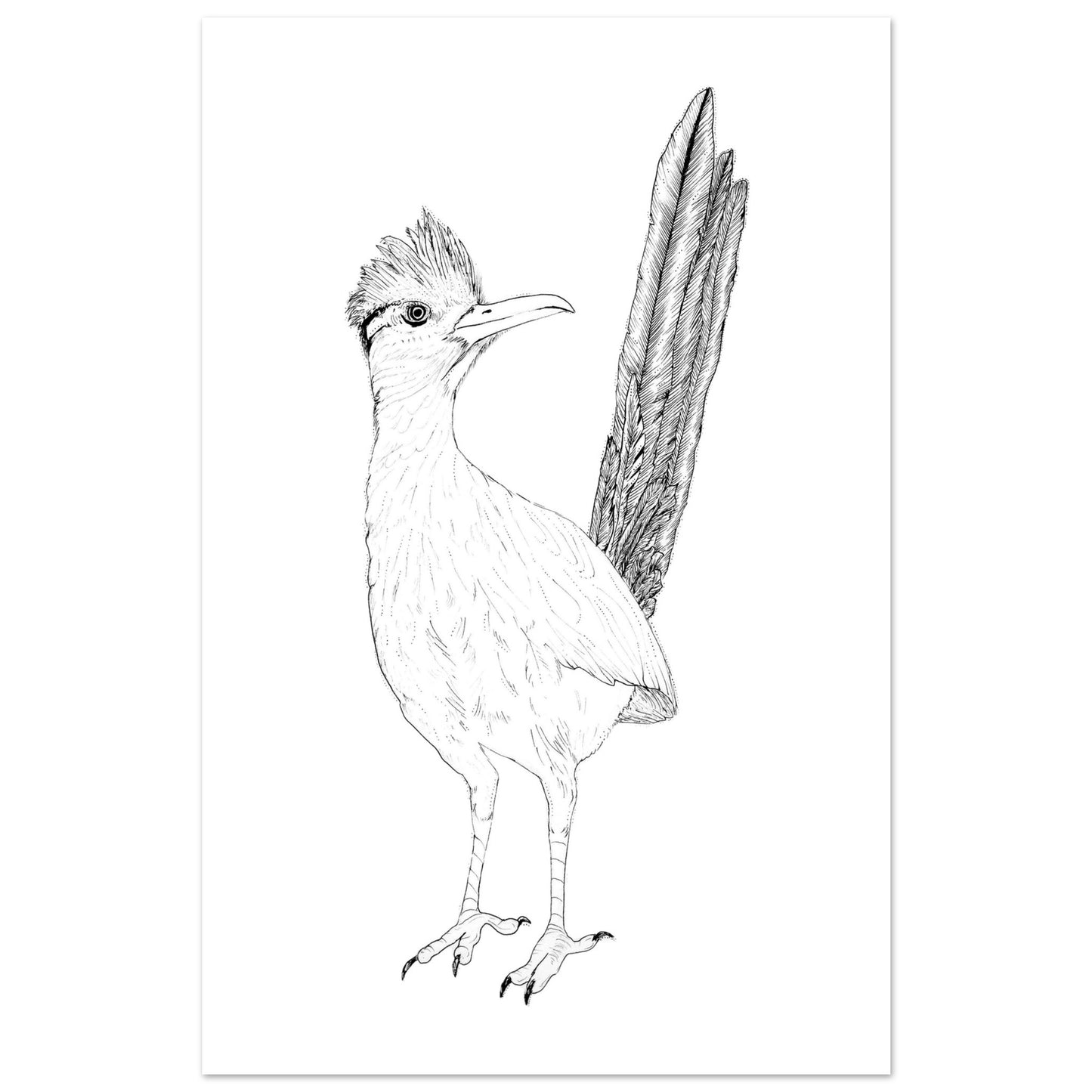 1ff9f8db-4d05-4c92-9842-acb95d946dc5