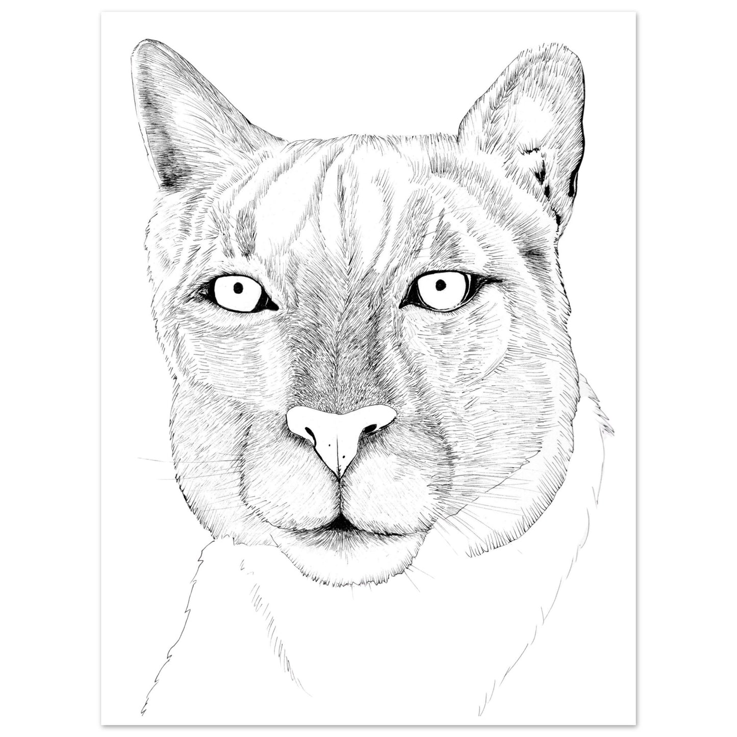 439c7ff2-6937-495c-a834-8526bf279fb7