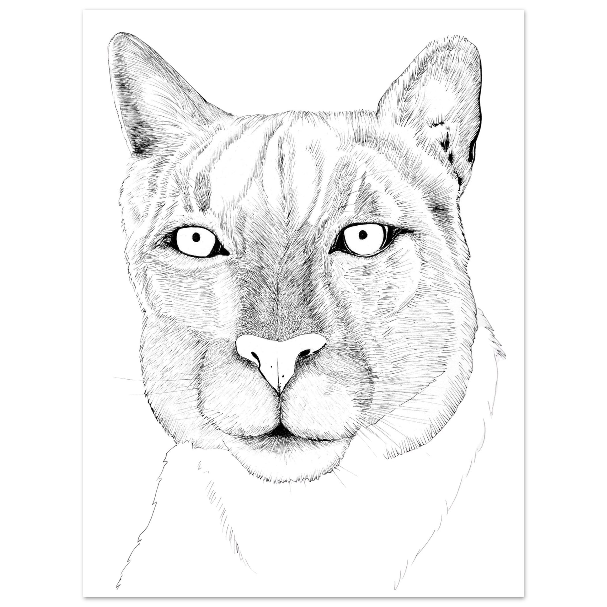 439c7ff2-6937-495c-a834-8526bf279fb7