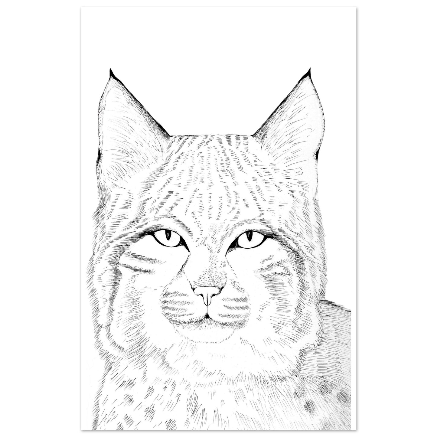 502a5a41-2ef6-475a-8fae-642e0bf2ee49