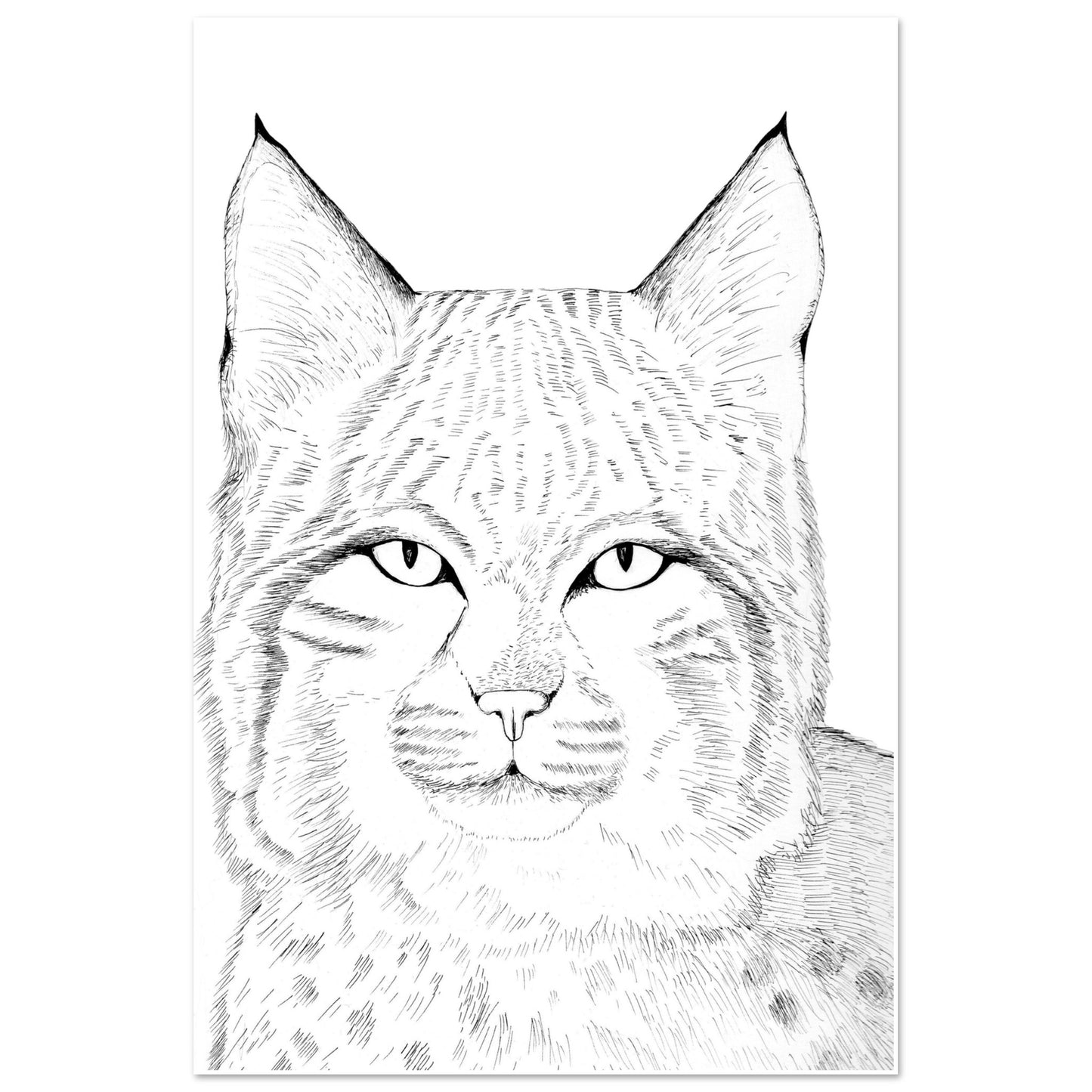 5b6f2fa5-a453-464c-9489-4e04ad7880be