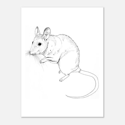 68001e6b-de3d-4459-a17a-7ca9445c4eb9