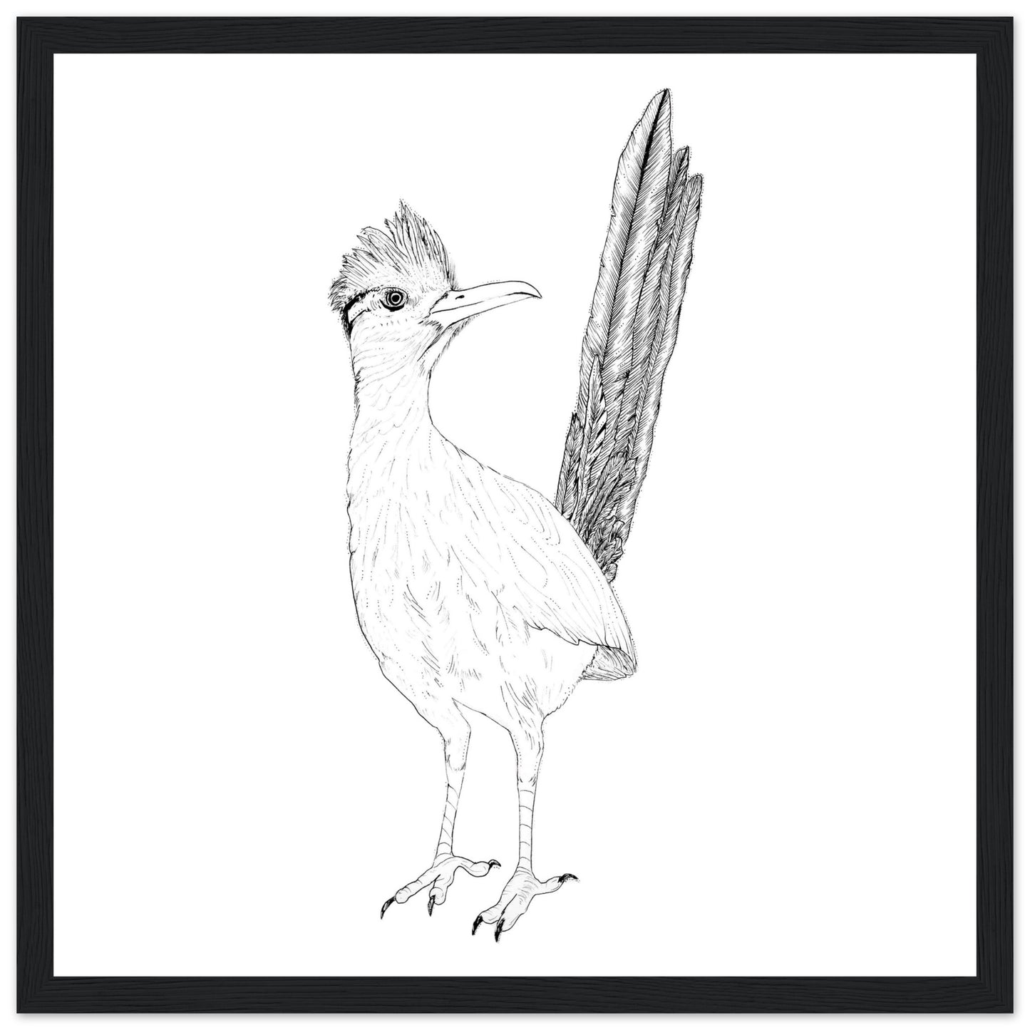 76651a92-7a4e-4373-ad32-e41bda36e80f