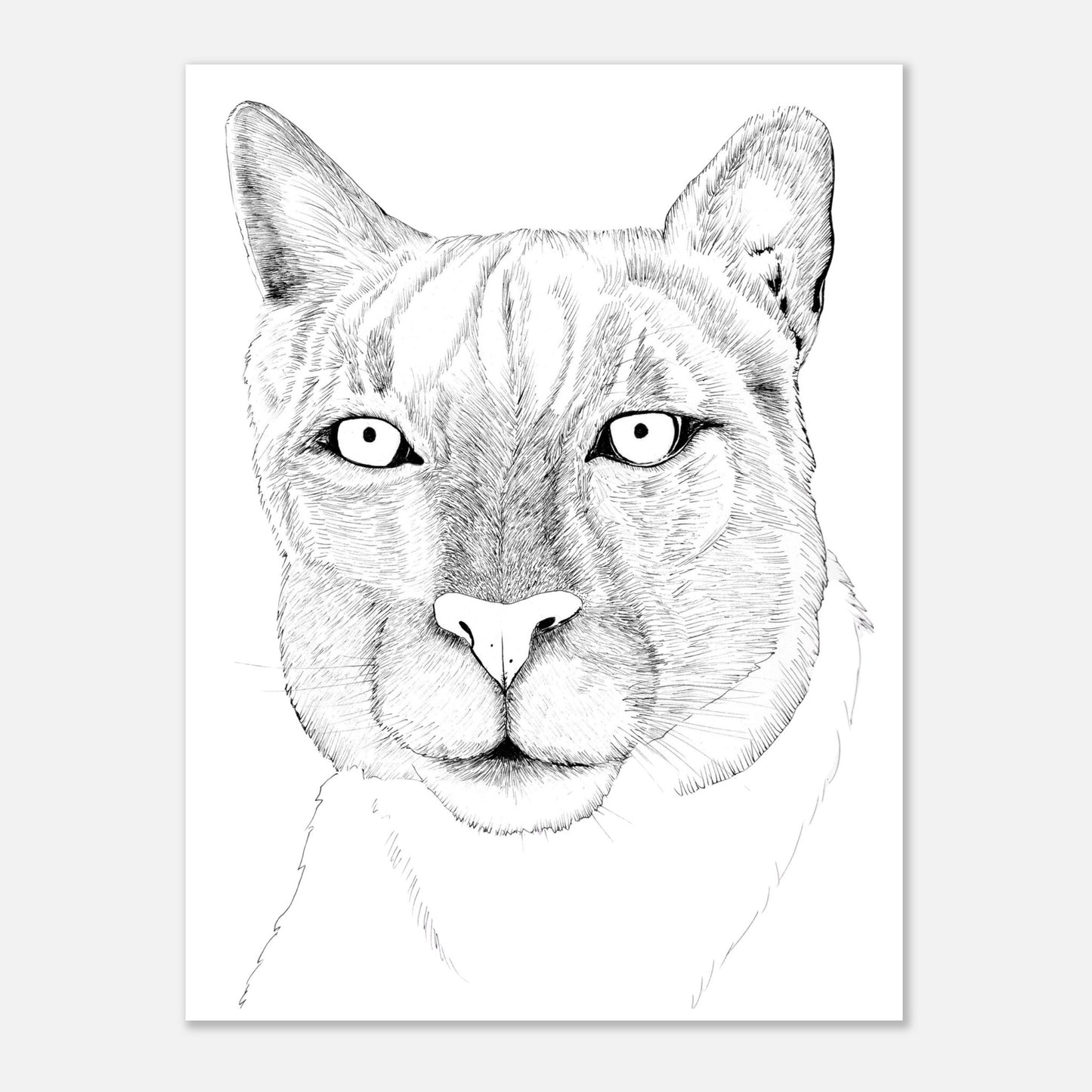 7e8cbcaf-fba8-4921-80ea-a70dd09602d9