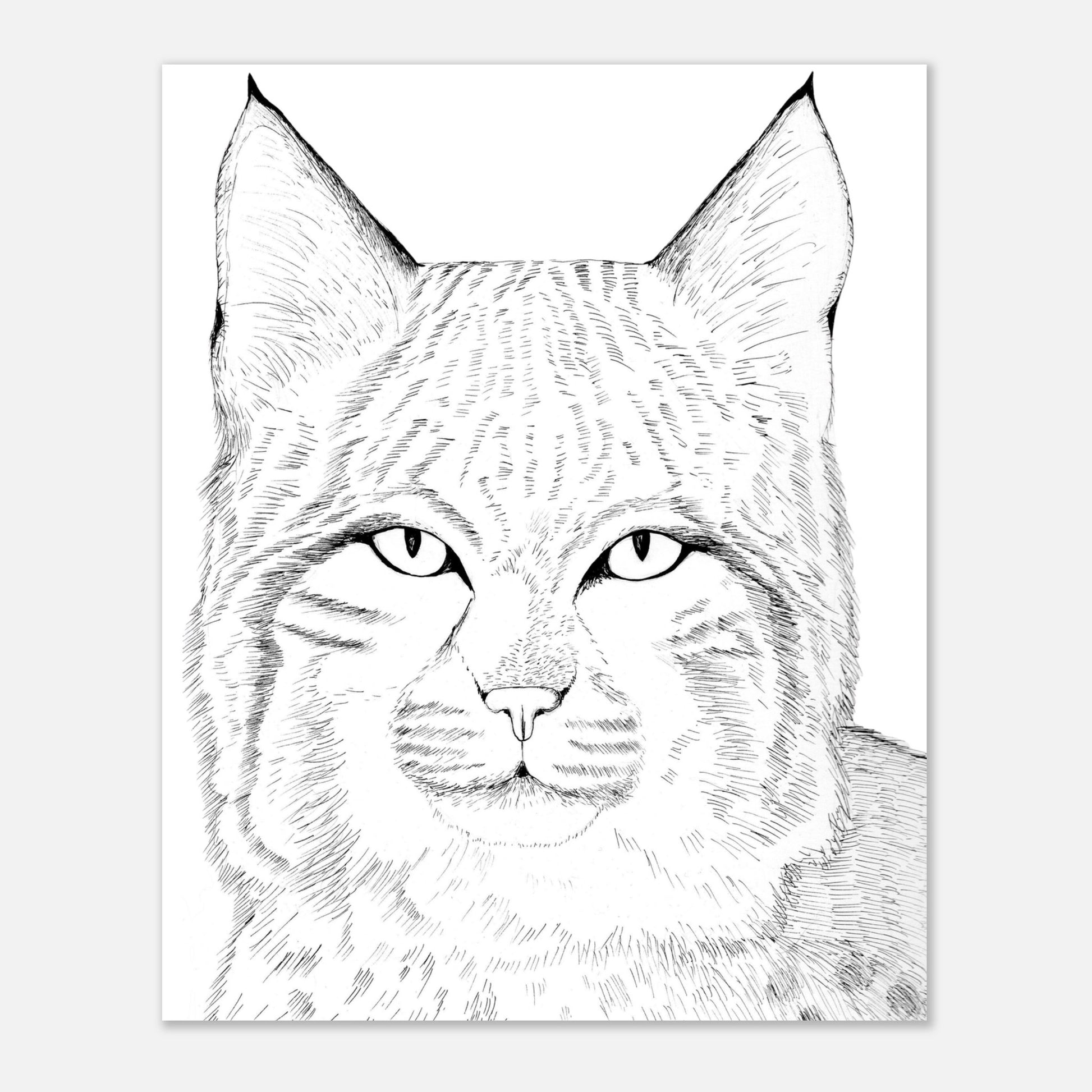 85e8a33a-aeb2-49f6-b7c3-9067fcb152d3