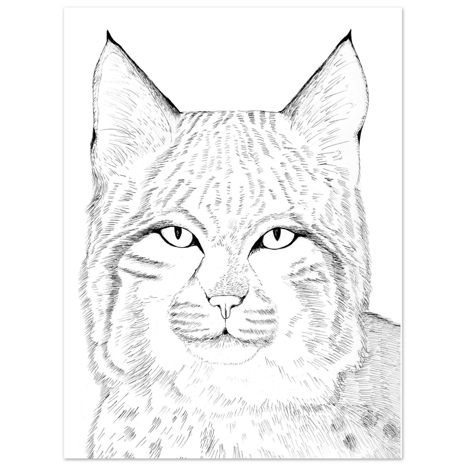 8ab3fe37-077a-43c1-a3cd-2d354395cae2