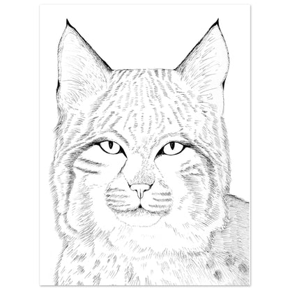 8ab3fe37-077a-43c1-a3cd-2d354395cae2