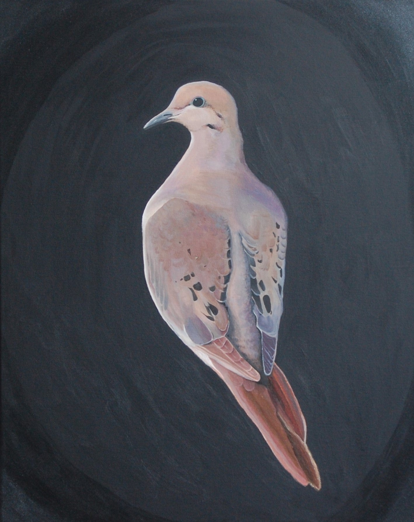 Amy's Love Dove - Original art by local Arizona artist Amy Baffa. Acrylic on Canvas. Canvas print