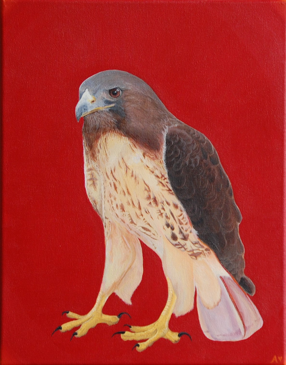 Red-Tailed Hawk - "Swoop after what you want.." - Original art by Amy Baffa. Acrylic on Canvas