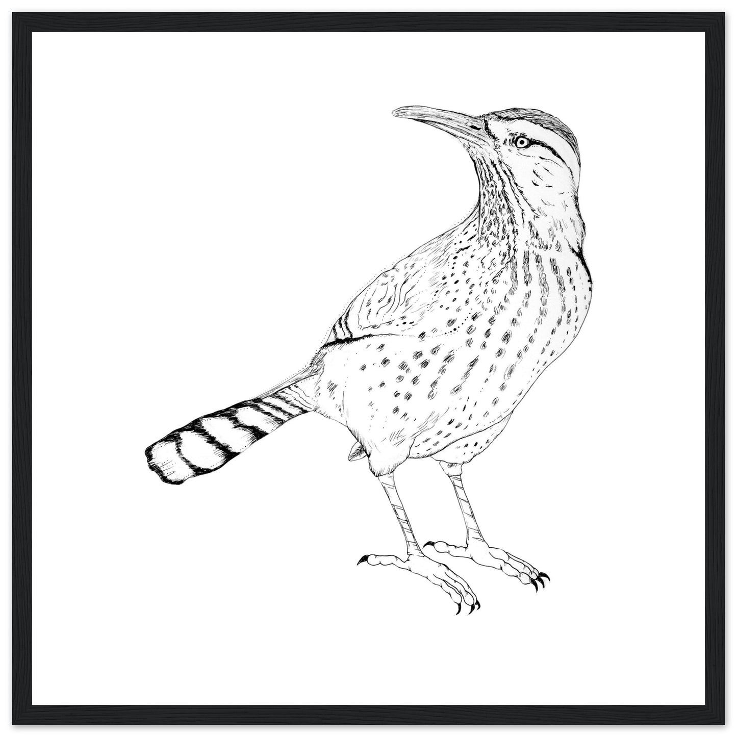 a11507a8-4e6b-4149-8077-1483780e4aea