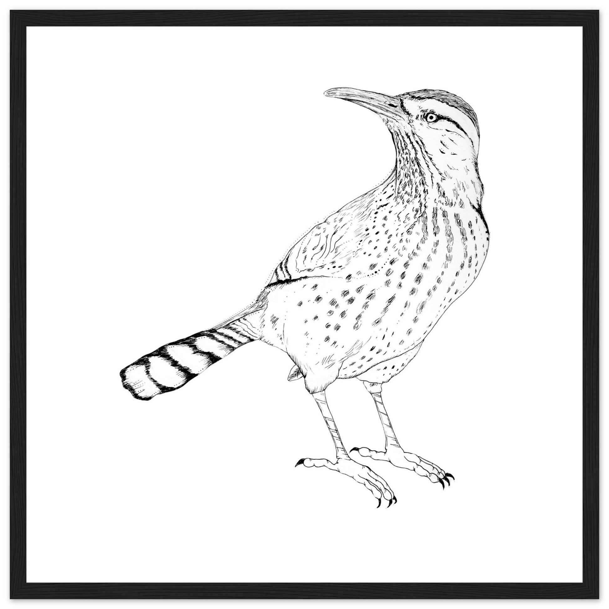 a11507a8-4e6b-4149-8077-1483780e4aea