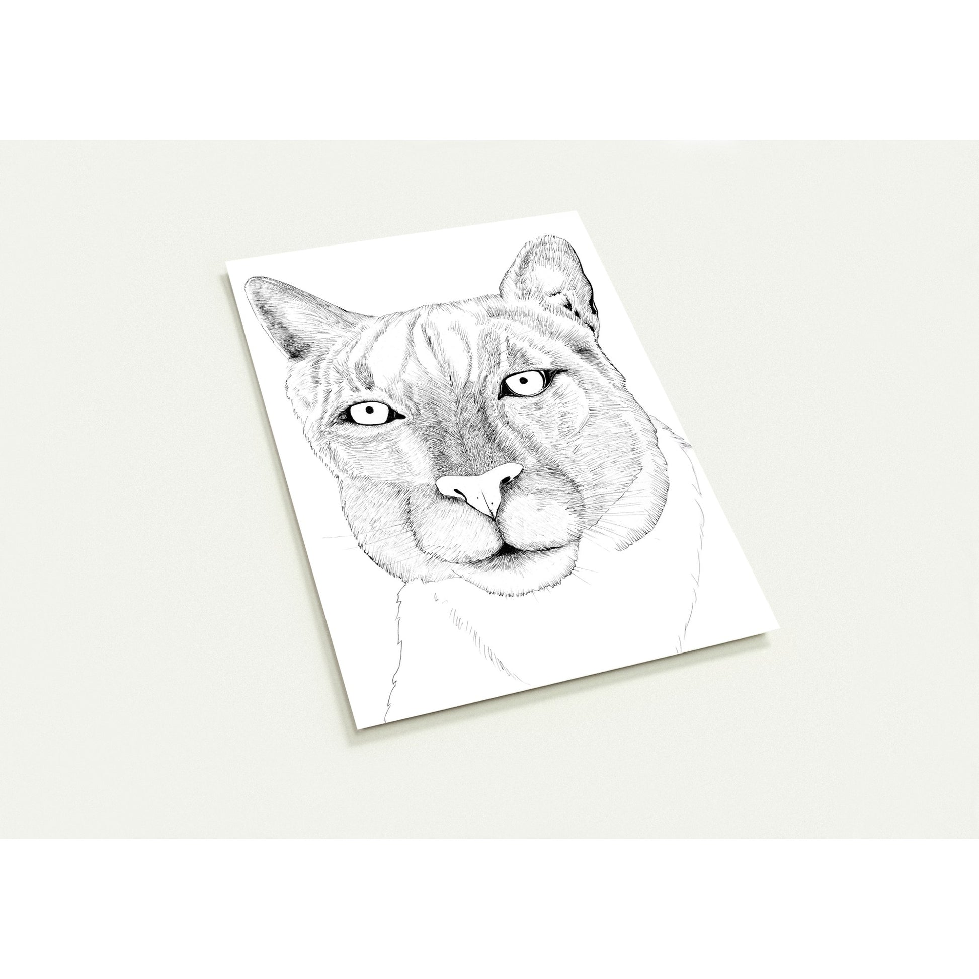 a87f9e45-0e40-4616-98f0-7c6366b15e2b