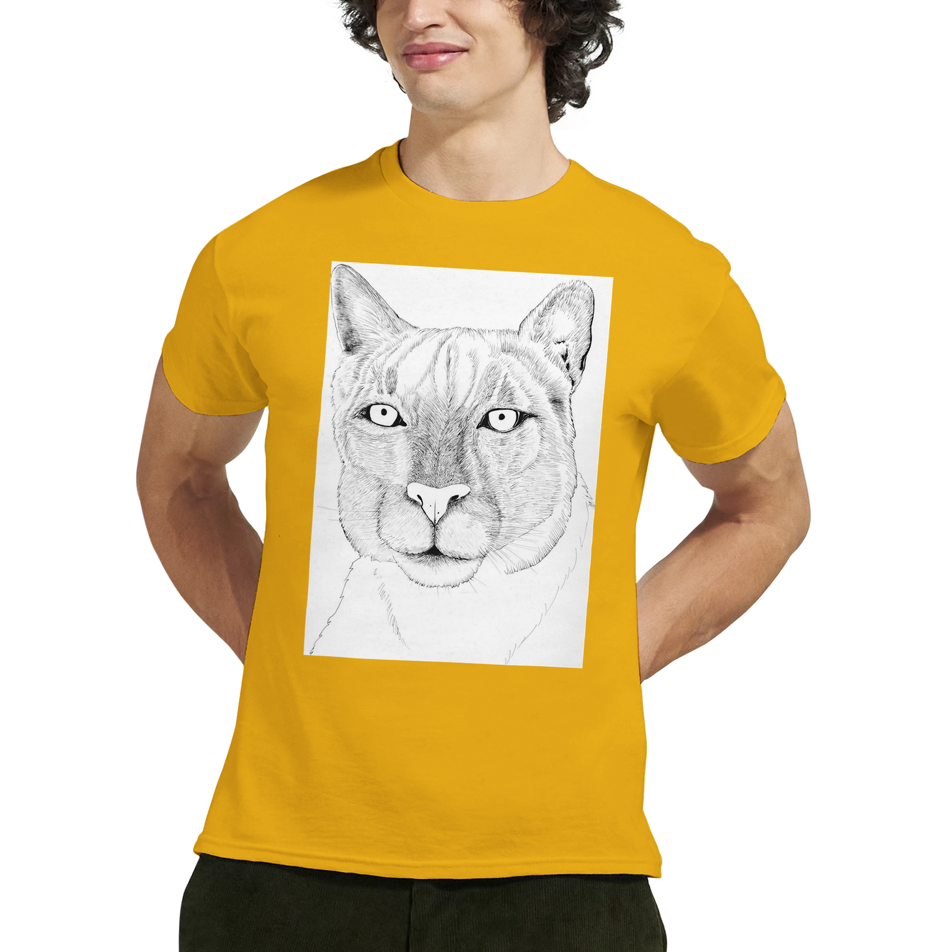 ac2ce0e0-21f8-48b5-88b7-ac923fd25655