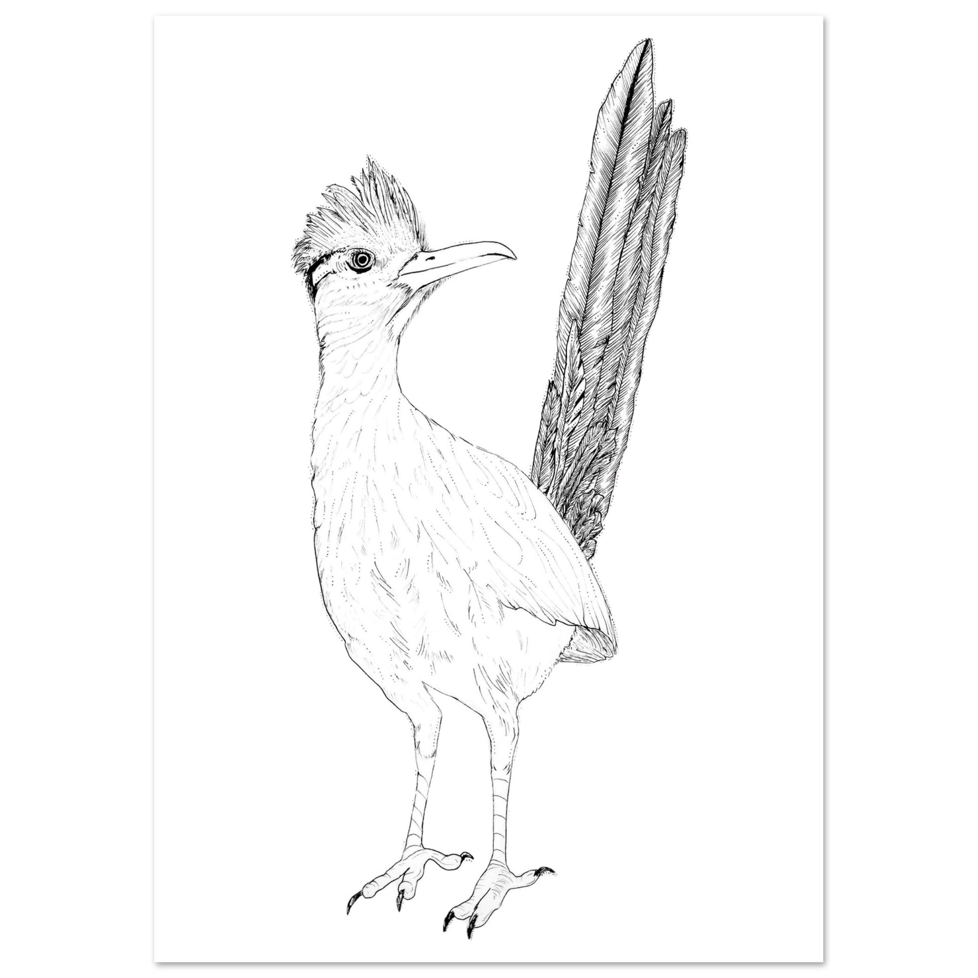 b6474d9d-d6af-4725-a3b4-ccc6a89bd0d7