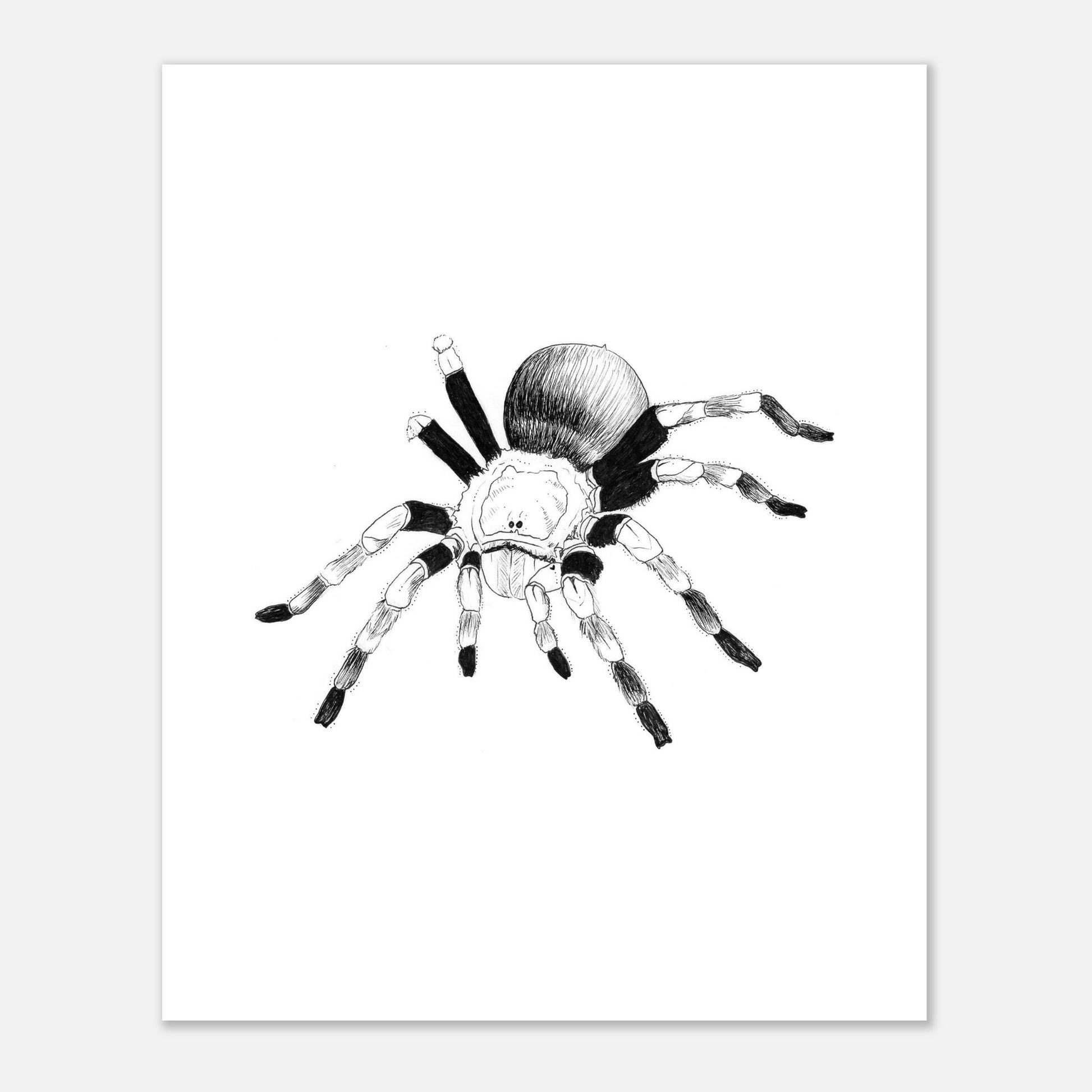 bab113bb-6ae9-44fc-90d5-a1d5a524e7fc