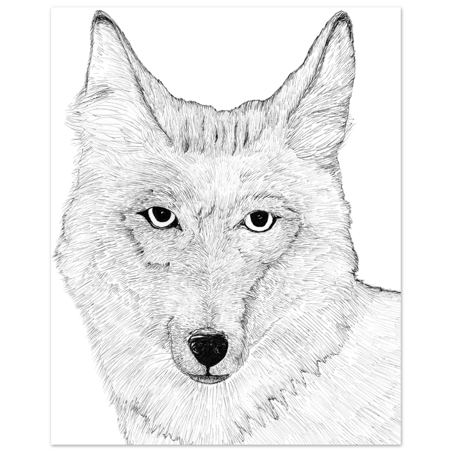 be1e3399-542e-43d7-a0e2-0b872bf0d834