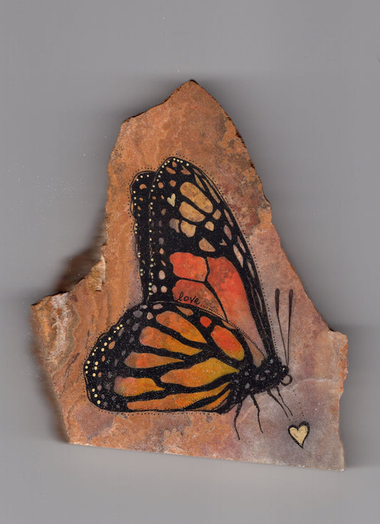 Butterfly on Stone
