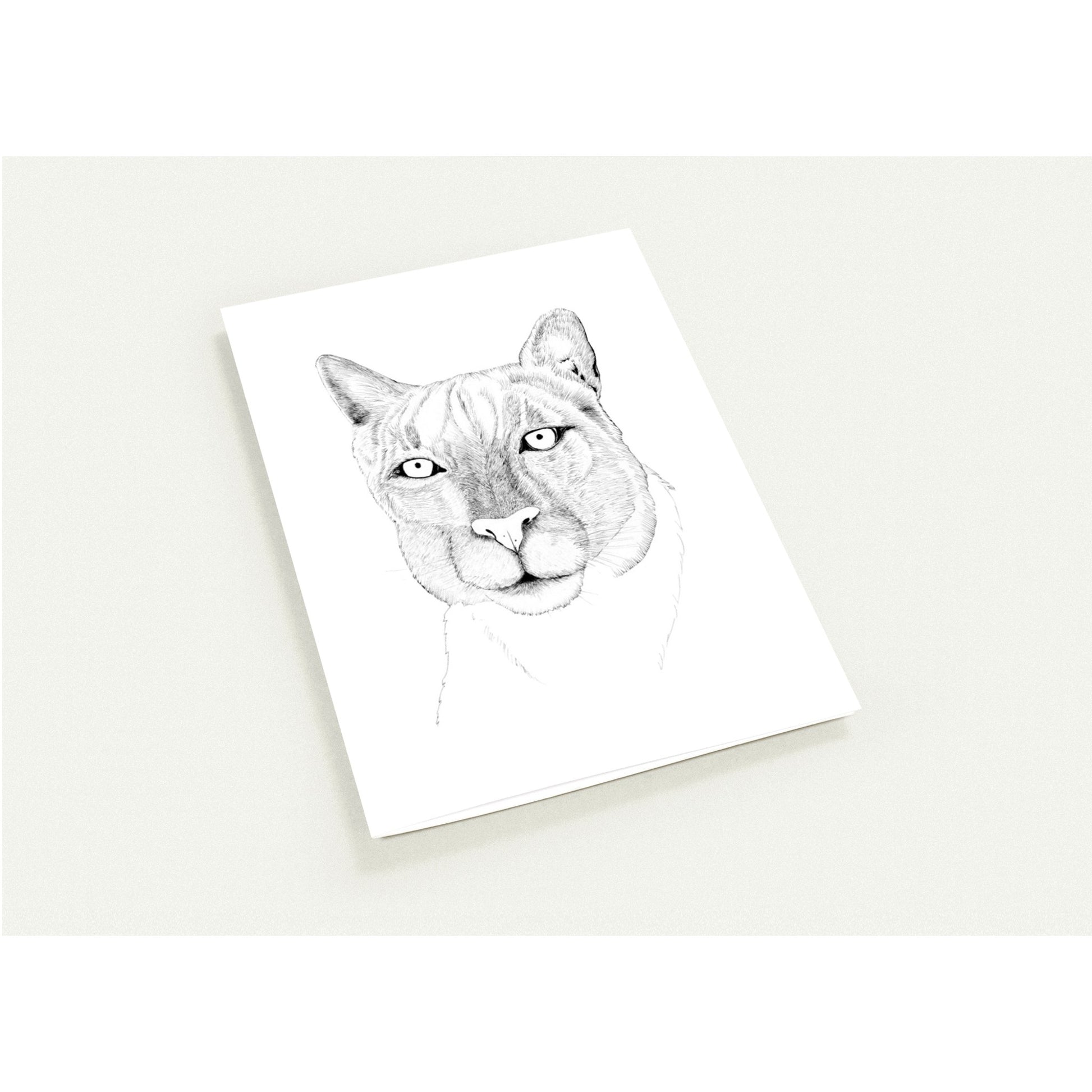 c003d414-72ce-47dd-96a7-870281cfd6a4