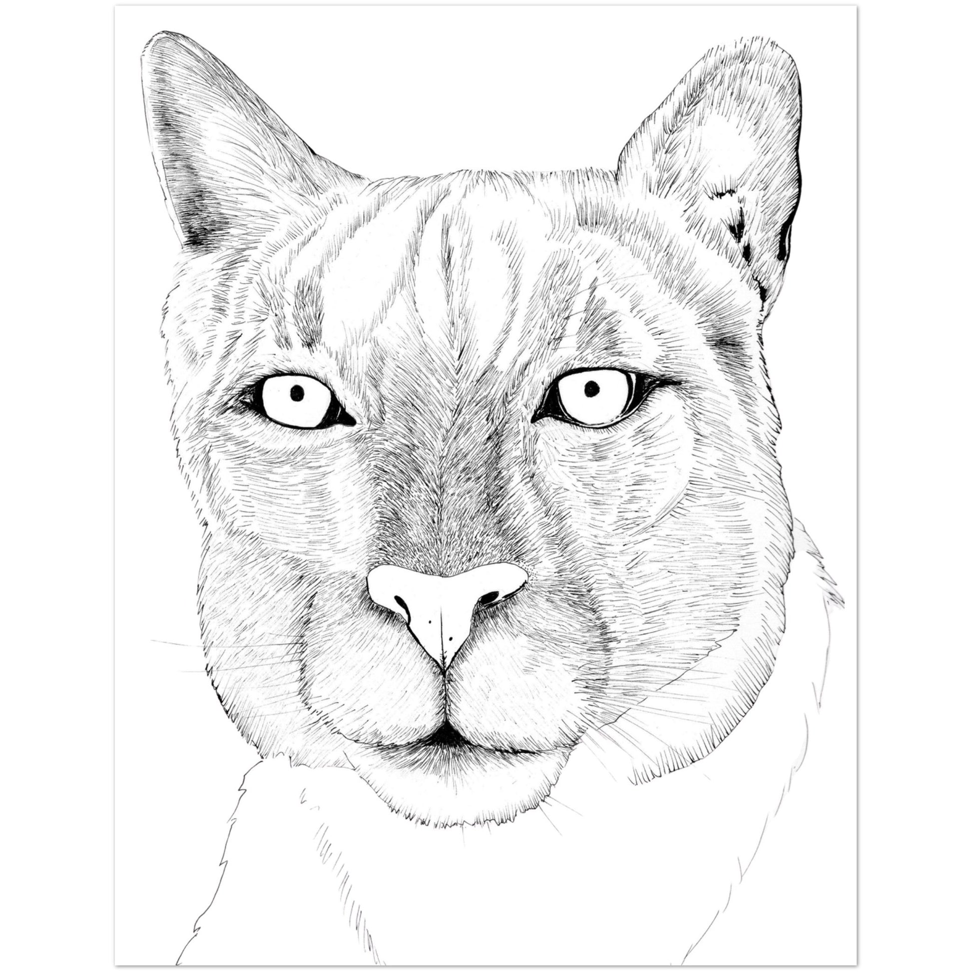 cbad432e-402b-4e91-a0ee-90855e1a10d3