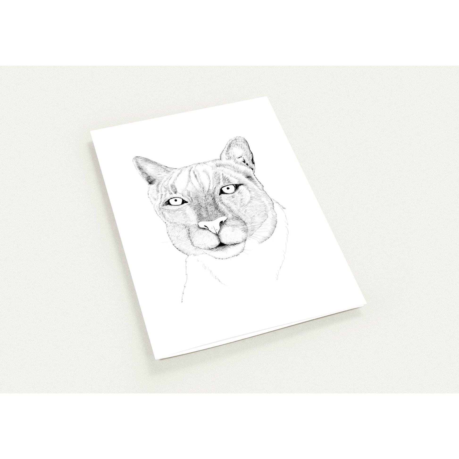 d035c24a-b60a-4892-bb05-0ddff158694f