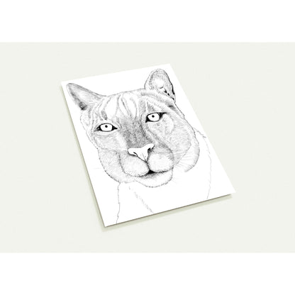 d7185bef-68c7-44d5-8178-cafc03f56a96