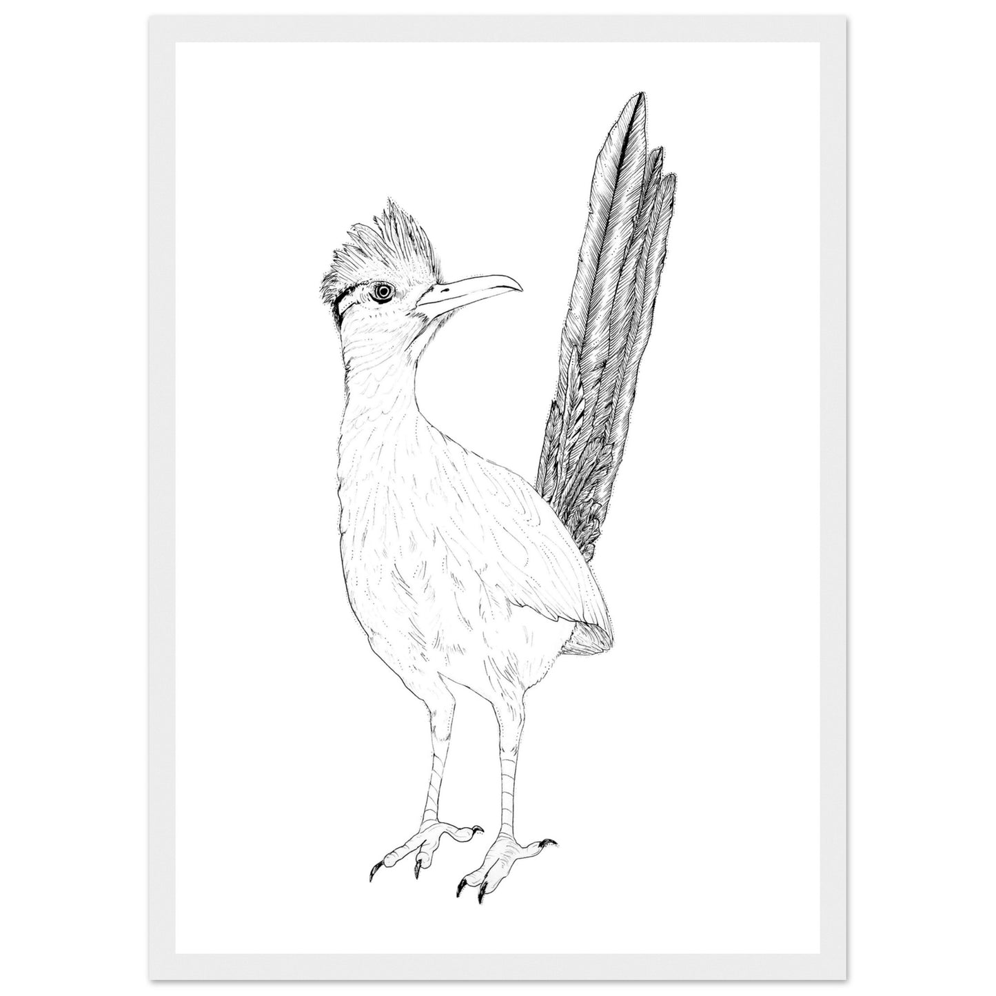 e88244ff-81ac-4144-a601-da3950c5c570