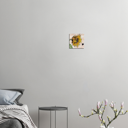 Sunflower on Stone - Aluminum Print