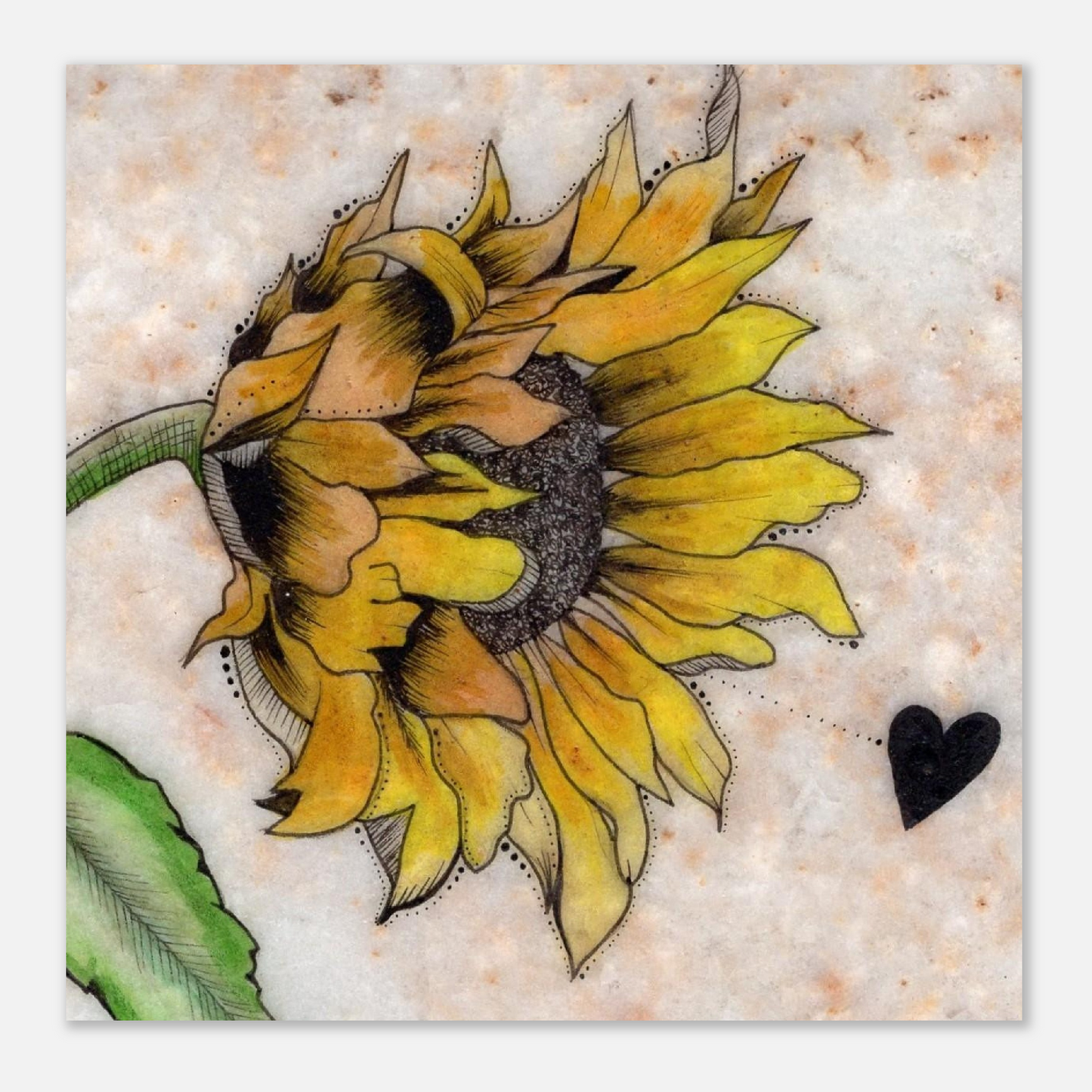 Sunflower on Stone - Aluminum Print