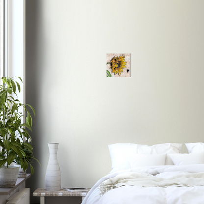 Sunflower on Stone - Aluminum Print