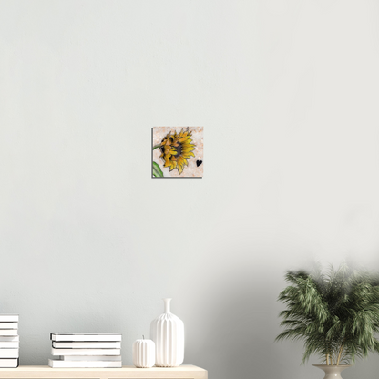 Sunflower on Stone - Aluminum Print