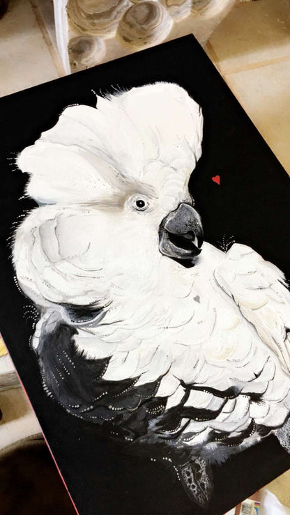 Cockatoo in Love - Canvas Print (or original) Original Artwork by Amy Baffa