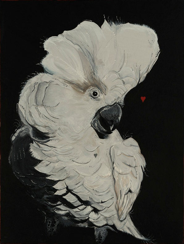 Cockatoo in Love - Canvas Print (or original) Original Artwork by Amy Baffa