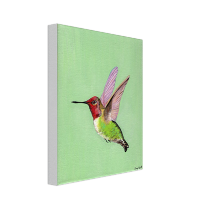 Hummingbird Canvas Print - Original Artwork by Amy Baffa