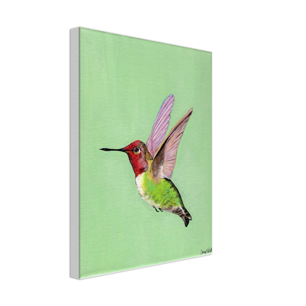 Hummingbird Canvas Print - Original Artwork by Amy Baffa