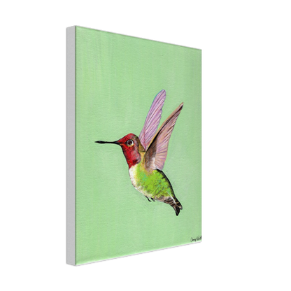 Hummingbird Canvas Print - Original Artwork by Amy Baffa