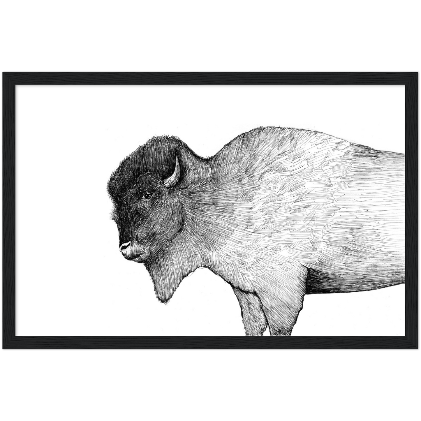 Native Arizona Buffalo - Classic Matte Paper Wooden Framed Poster