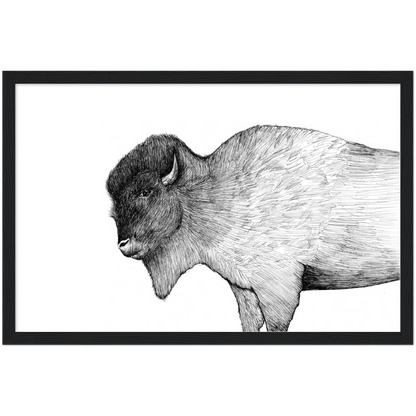 Native Arizona Buffalo - Classic Matte Paper Wooden Framed Poster