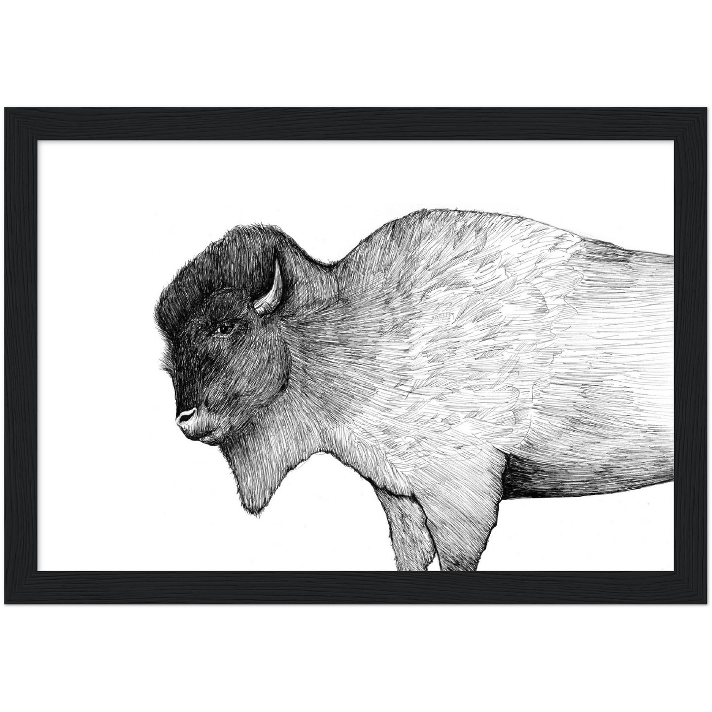 Native Arizona Buffalo - Classic Matte Paper Wooden Framed Poster