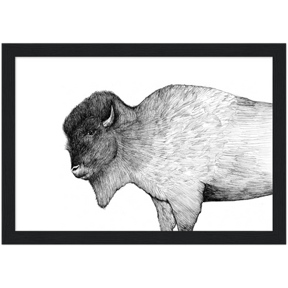 Native Arizona Buffalo - Classic Matte Paper Wooden Framed Poster